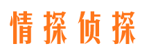 八宿市私家侦探